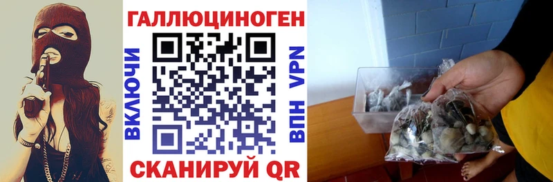 Галлюциногенные грибы мицелий omg ссылка Катав-Ивановск